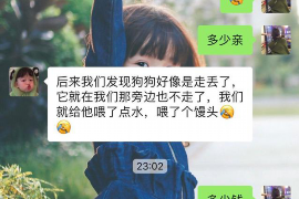 莘县莘县的要账公司在催收过程中的策略和技巧有哪些？