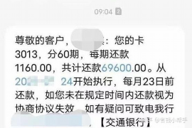 莘县为什么选择专业追讨公司来处理您的债务纠纷？